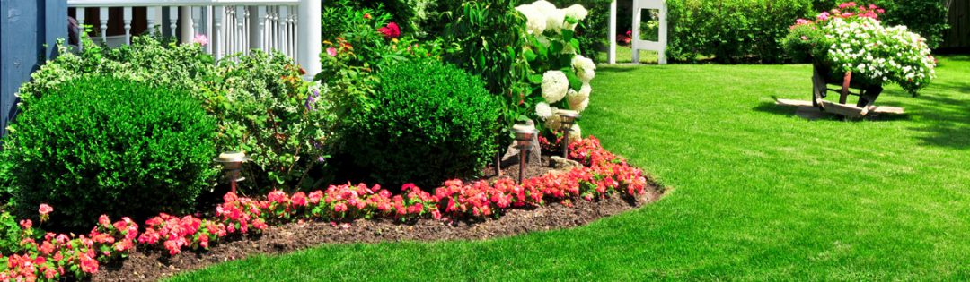 spring-lawn-care-a-g-sod-farms