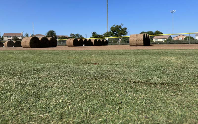 Natural grass big rolls ready to be installed on sports field in Riverside, CA